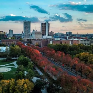 A cityscape view shows tall buildings under a partly cloudy sky, with a park and a tree-lined street featuring autumn foliage in the foreground—ideal for an electrical contractor to light up urban spaces.